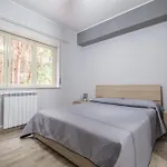 Damilhouse 2