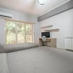 Damilhouse 2 Apartment